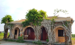 Ngôi đình 100 tuổi 'độc nhất vô nhị' ở miền Tây có 2 cây bồ đề mọc trên mái 