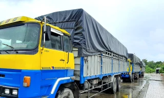 Tạm giữ 3 xe tải dùng biển kiểm soát quân sự giả chở 2.700 can dầu ăn