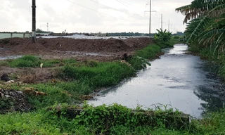 Gây ô nhiễm nghiêm trọng, một doanh nghiệp ở Sóc Trăng bị phạt 1,3 tỷ đồng