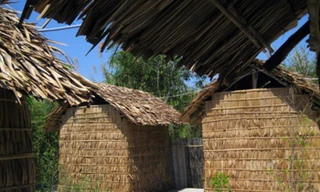 Ảnh chỉ mang tính minh hoạ