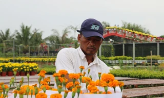 Làng hoa lớn nhất miền Tây đìu hiu, khách thưa thớt