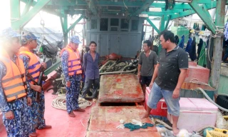 Hai tàu cá Kiên Giang vận chuyển dầu trái phép trên vùng biển Tây Nam