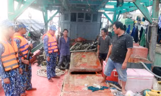 Hai tàu cá Kiên Giang vận chuyển dầu trái phép trên vùng biển Tây Nam