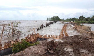 Kiên Giang công bố tình trạng sạt lở đê biển nghiêm trọng