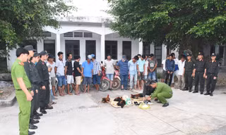 Triệt xoá tụ điểm đá gà quy mô lớn, thu giữ hơn 100 triệu đồng