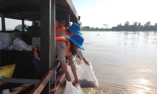 Cần Thơ thả 30.000 con cá giống để tái tạo nguồn lợi thuỷ sản