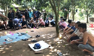 Đột kích sới bạc liên tỉnh, bắt 31 đối tượng, thu gần 300 triệu đồng