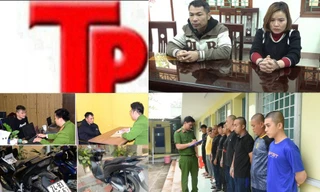 Bản tin Hình sự: Lập di chúc giả để chiếm đoạt tài sản