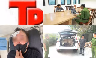 Bản tin Hình sự: Công an Hà Nội bắt nhóm 'choai choai' tấn công người đi đường để khoe chiến tích