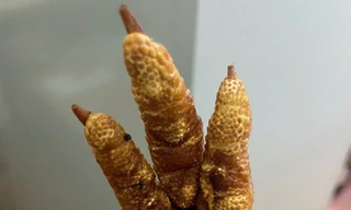 Hà Nội: Bắt giữ hơn 1 tấn chân gà chiên không rõ nguồn gốc 