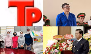 Bản tin Hình sự: Khởi tố vụ chôn lấp chất thải rắn tại dự án nhà máy đốt chất thải rắn