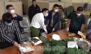 Lực lượng phòng chống ma túy Công an Hà Nội được hỗ trợ gần 5 triệu đồng/tháng