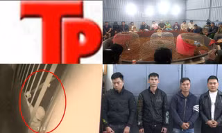 Bản tin Hình sự: Nam tài xế ô tô bị người mặc áo bảo vệ đánh tới tấp