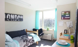 Biến nhà thuê thoải mái như nhà mình mà không quá tốn kém nhờ vào các chiêu cực dễ này