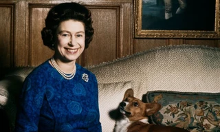 Bầy Corgi của Nữ hoàng Elizabeth thì nổi tiếng quá rồi, nhưng có những điều bạn chưa biết