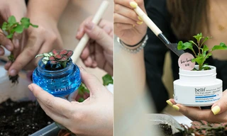 Các tín đồ mỹ phẩm phải làm sao để theo đuổi lối sống “plastic-free“ đang là hot trend?