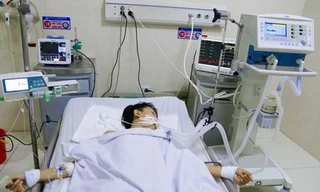 Nạn nhân bị rắn cắn sau 10 ngày điều trị đã bình phục.