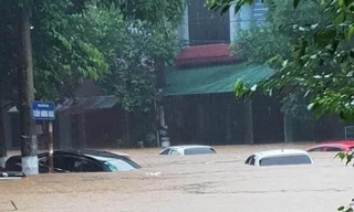 Hàng loạt ô tô chìm trong biển nước.