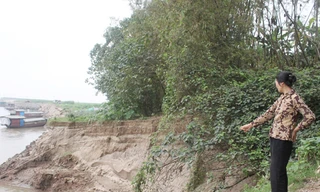 Dân lao đao vì lở đất