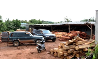 Hai xe ô vận chuyển gỗ vào trong kho bãi của Doanh nghiệp tư nhân Hùng Ny