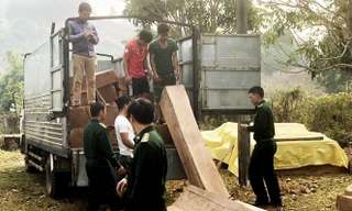 Lực lượng chức năng phát hiện vụ vận chuyển, cất giấu gỗ trái phép tại huyện Ngọc Hồi
