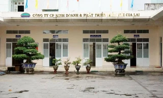 'Sờ gáy' 6 doanh nghiệp nhiều sai phạm sử dụng đất công