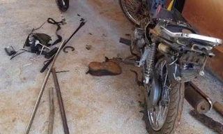 Các dụng cụ và xe máy mà nhóm đối tượng dùng để bắt chó