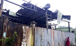 Xưởng gỗ của Công ty TNHH Minh Thành bị bỏ hoang. Ảnh: Hữu Phúc 