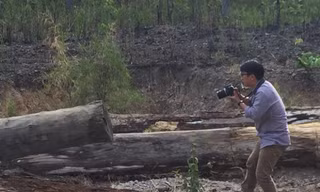 Triệu tập ông chủ bãi gỗ tại vườn quốc gia Yok Đôn