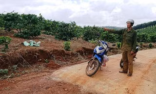 Đường bê tông dẫn vào rẫy của ông Trần Đình Hạnh. Ảnh Vũ Long.