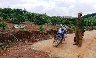 Đường bê tông dẫn vào rẫy của ông Trần Đình Hạnh. Ảnh Vũ Long.