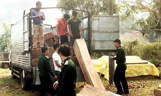 Cơ quan chức năng phát hiện vụ vận chuyển lâm sản trái phép trên địa bàn huyện Ngọc Hồi năm 2019