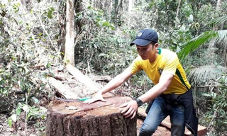 Hiện trường lâm tặc phá rừng trái phép trên địa bàn xã Đắk Ruồng