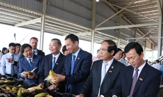 Lãnh đạo Trung ương và địa phương thăm trung tâm chế biến rau quả