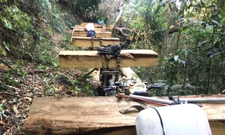 Những lóng gỗ trên xe của các đối tượng khai thác lâm sản trái phép