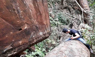 Nhiều vụ việc phá rừng tại huyện Chư Păh được các phóng viên phát hiện, trình báo ngành chức năng