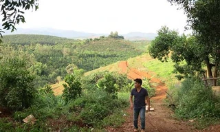 Buông lỏng quản lý rừng, Ban thường vụ Huyện ủy Đắk G’long bị kỷ luật