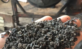 Khởi tố vụ nhuộm phế phẩm cà phê bằng pin con Ó, tạm giữ 6 người