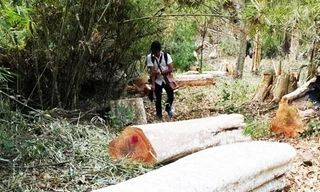 Rừng của Ban QLRPH Ia Grai bị tàn phá