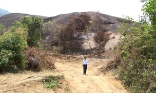 Đường lên tảng đá voi khổng lồ đã được tu sửa