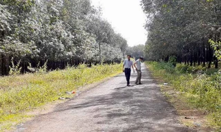 Đoạn đường liên thôn O Rang nơi xảy ra vụ tai nạn