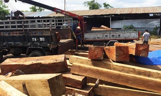 Lực lượng chức năng "đột kích" vào Công ty TNHH Duy Nguyên