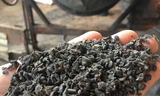 Phế phẩm nhuộm pin được các đối tượng đem trộn vào tiêu