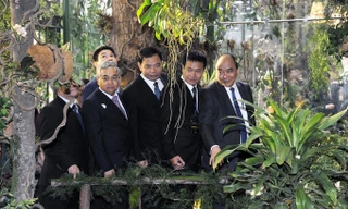 Thủ tướng Nguyễn Xuân Phúc cùng các vị lãnh đạo thăm vườn sâm trong triển lãm - Ảnh: VNE