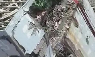 Nhật Bản: Độ phóng xạ trong tòa nhà lò phản ứng vẫn cao