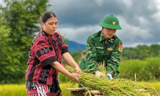 Rộn ràng ngày mùa nơi biên giới A Lưới