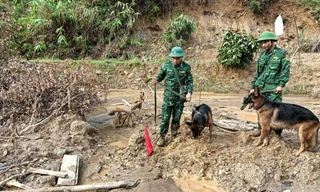 Chó nghiệp vụ Biên phòng xác định được 8 vị trí có nguồn hơi để tìm kiếm người mất tích