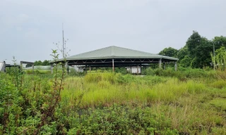 Trạm xử lý xây xong ‘đắp chiếu’, nước thải khu đô thị đen kịt kênh mương