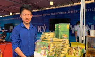 Chàng thanh niên đánh thức 'nữ hoàng trà' Tam Đảo