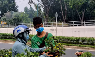 Bonsai mini 'độc lạ' tiền triệu hút khách tại chợ hoa Tết
